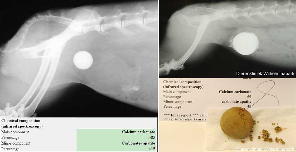 Blaassteen analyse we zien altijd calcium cabonaat en vaak met calcium apatiet